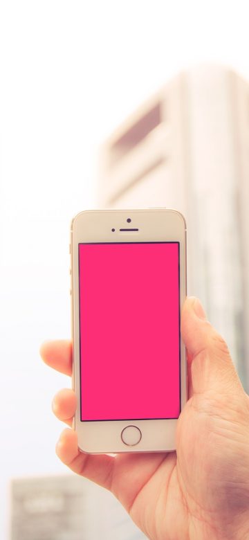 手机竖屏展示 c站 App 设置页，权限开关一列排开，多数处于关闭状态，灰色细线分隔