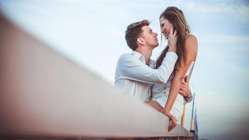 c站 内容分区全景:从动画到生活区,每一块都在解决不同